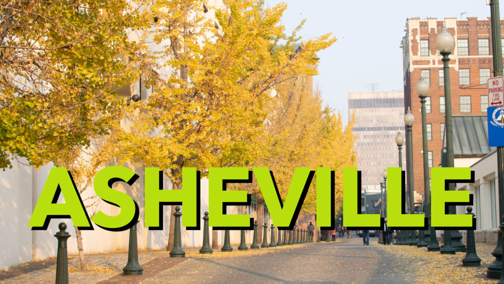 asheville digital marketing business city